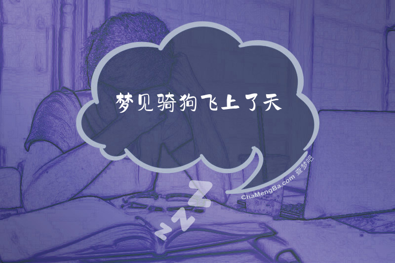 梦见骑狗飞上了天