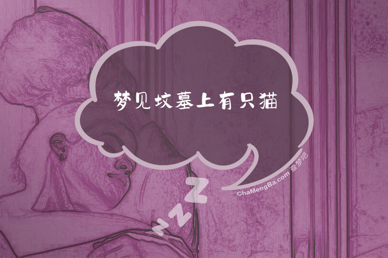梦见坟墓上有只猫