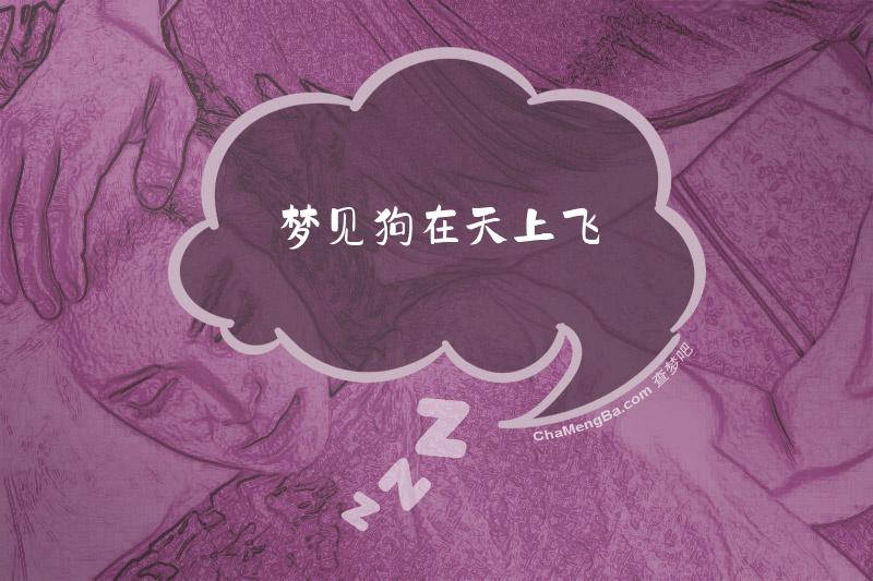 梦见狗在天上飞