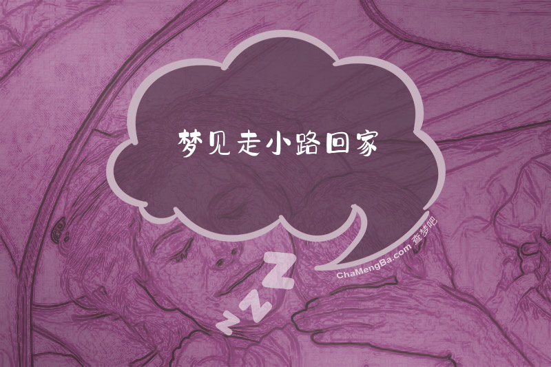 梦见走小路回家