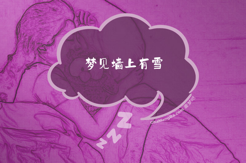 梦见墙上有雪