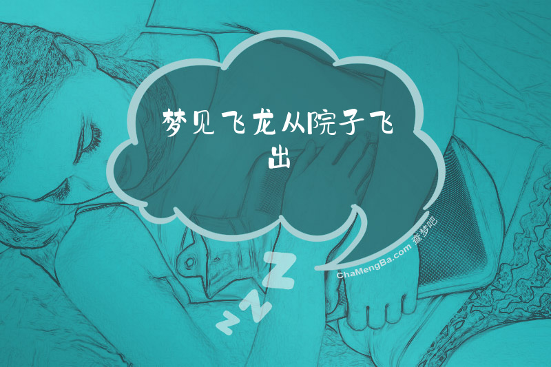 梦见飞龙从院子飞出