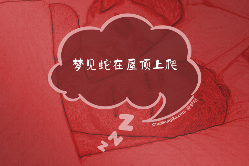 梦见蛇在屋顶上爬