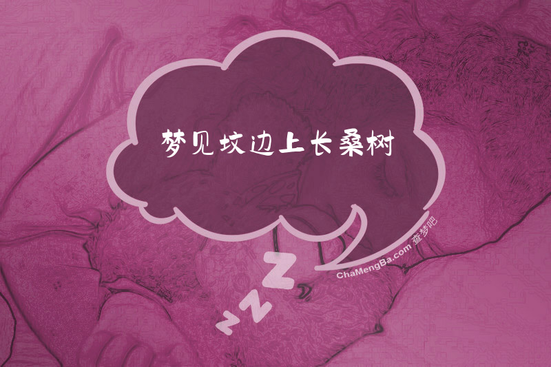 梦见坟边上长桑树