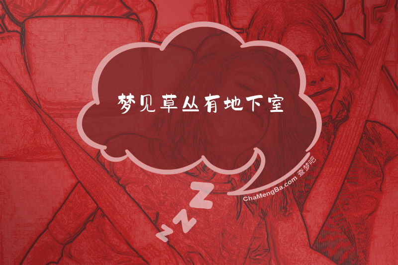 梦见草丛有地下室