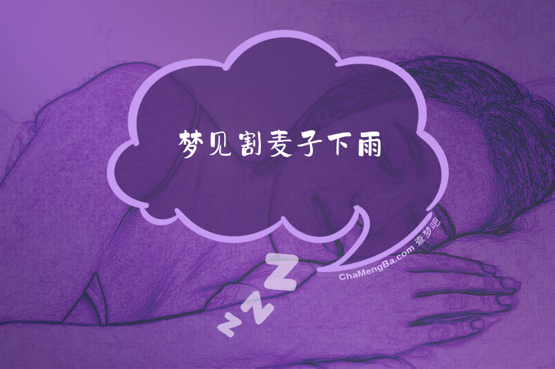 梦见割麦子下雨