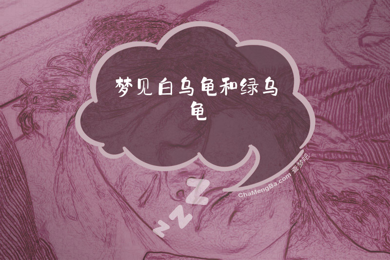 梦见白乌龟和绿乌龟