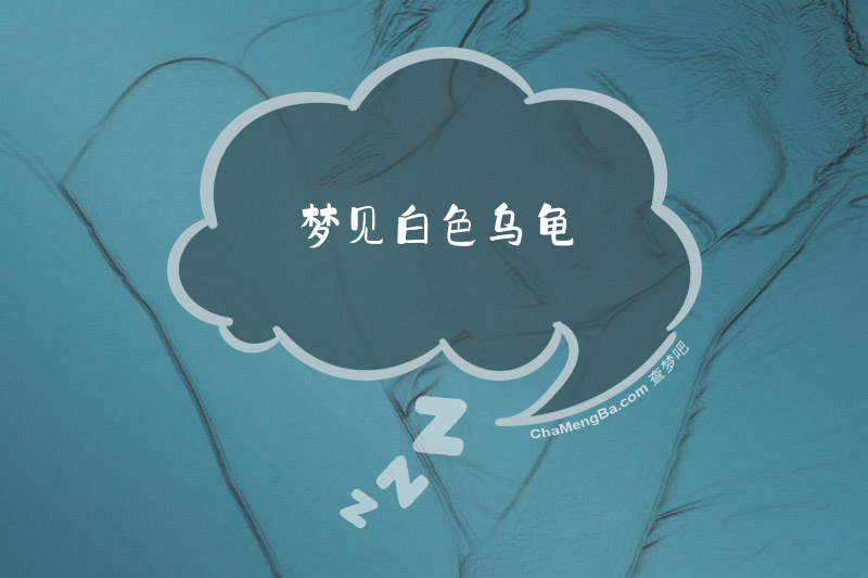 梦见白色乌龟
