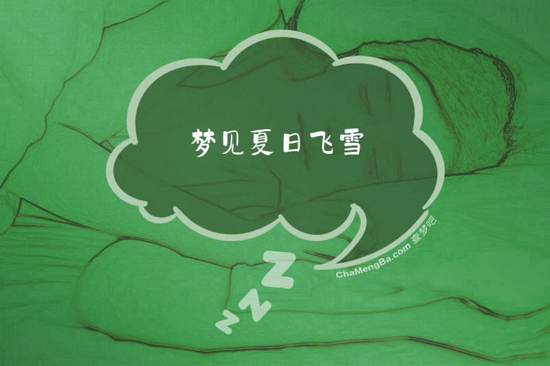 梦见夏日飞雪