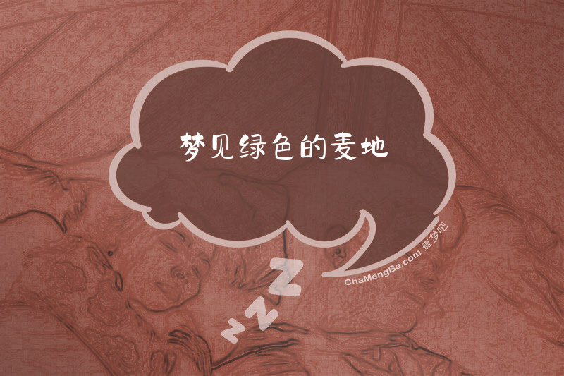 梦见绿色的麦地