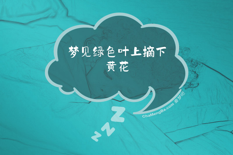 梦见绿色叶上摘下黄花