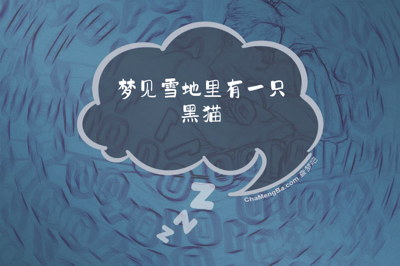 梦见雪地里有一只黑猫