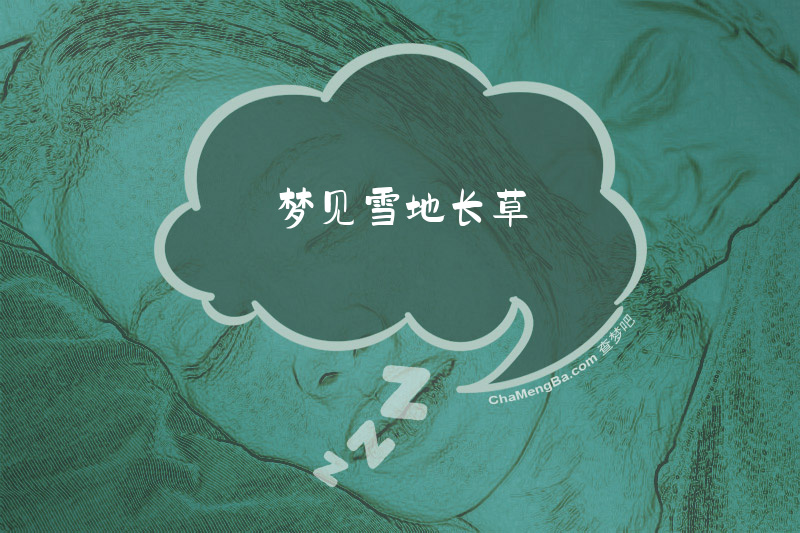 梦见雪地长草