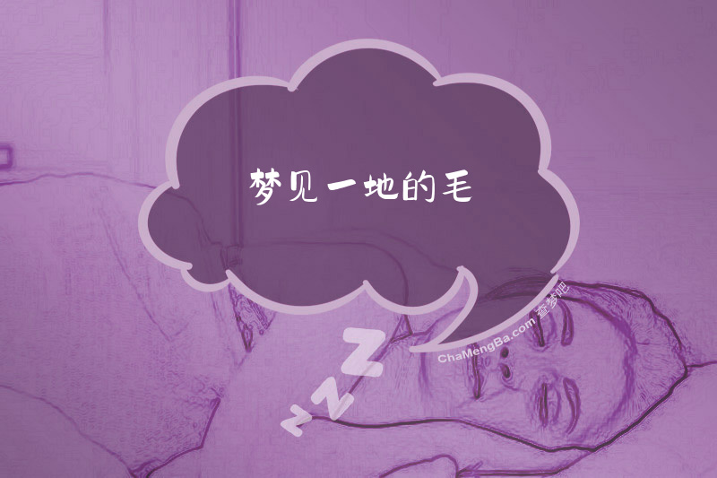 梦见一地的毛
