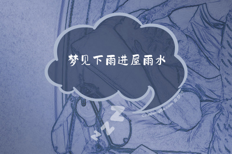 梦见下雨进屋雨水