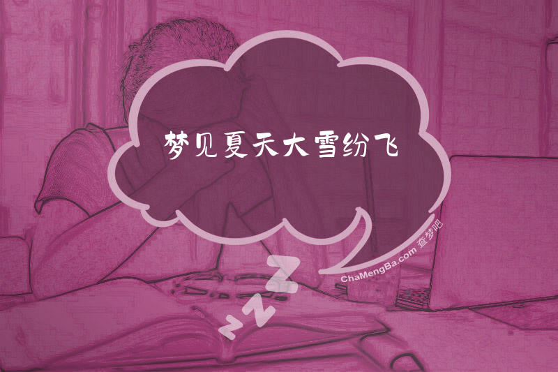 梦见夏天大雪纷飞