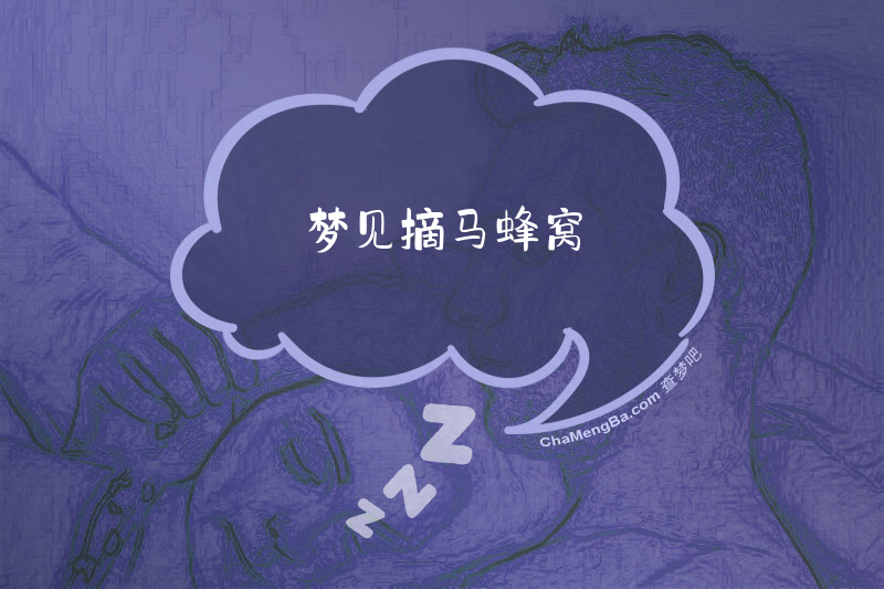 梦见摘马蜂窝