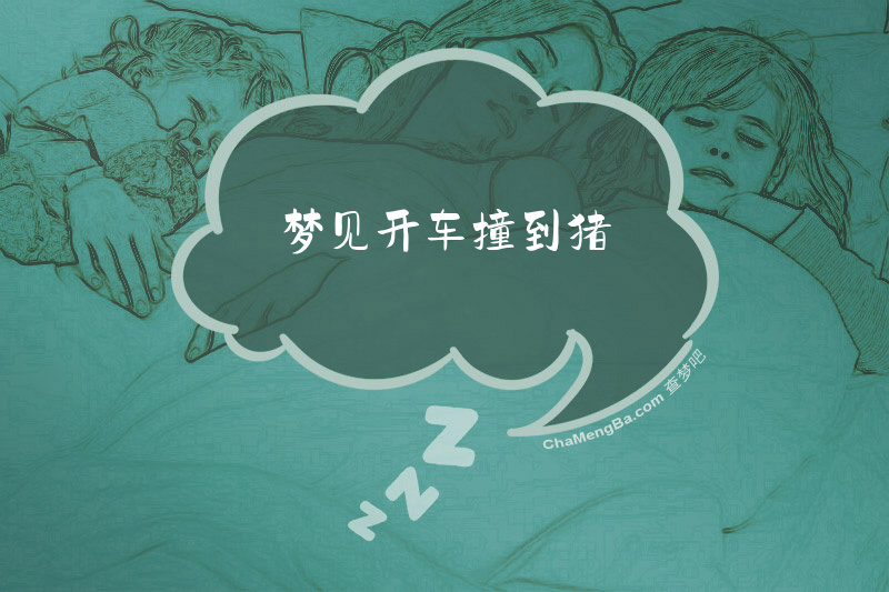 梦见开车撞到猪