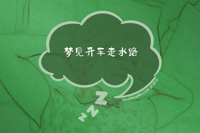 梦见开车走水路