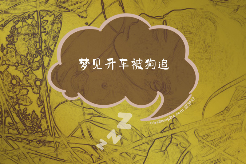 梦见开车被狗追