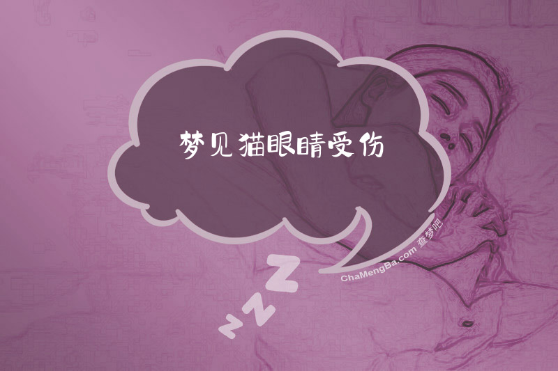 梦见猫眼睛受伤