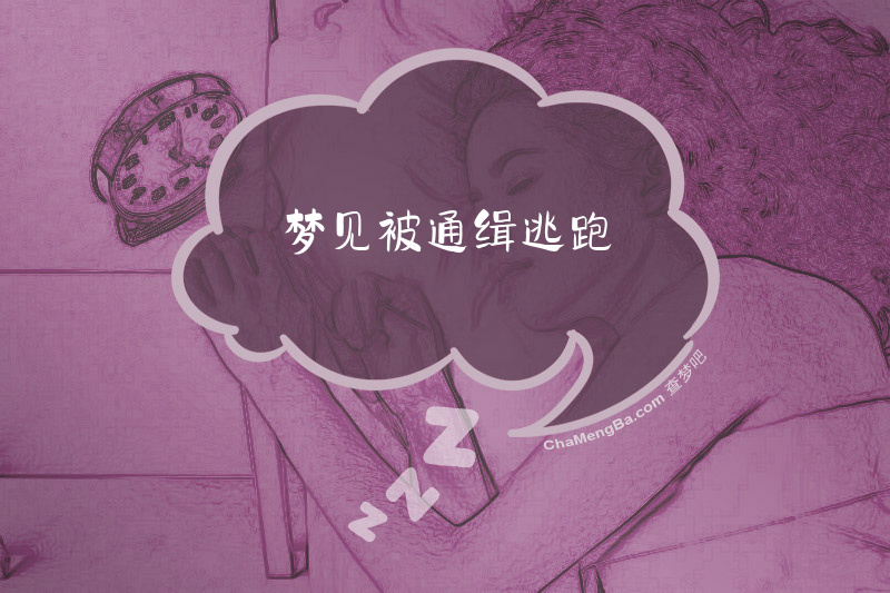 梦见被通缉逃跑