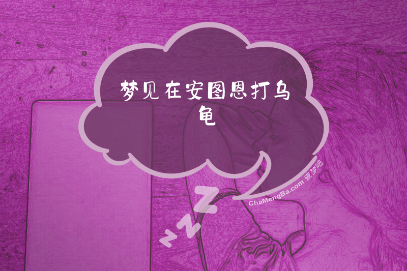 梦见在安图恩打乌龟
