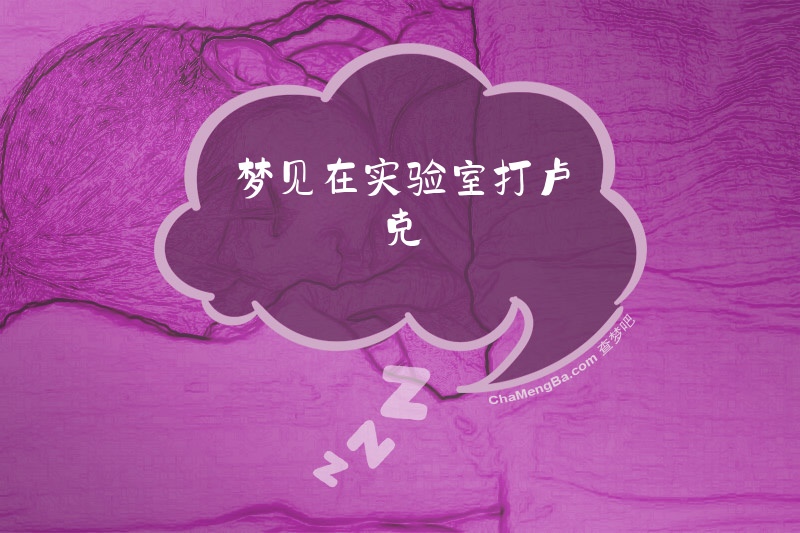 梦见在实验室打卢克