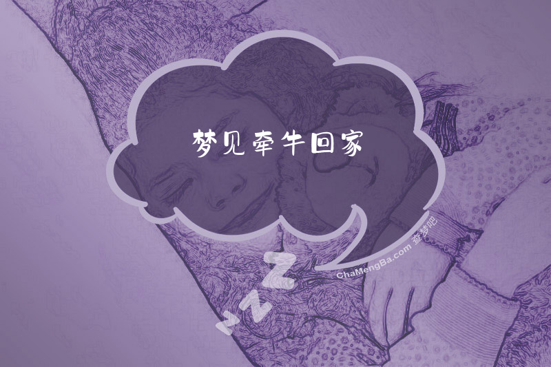 梦见牵牛回家
