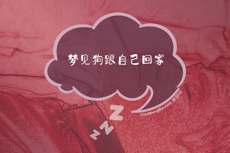 梦见狗跟自己回家