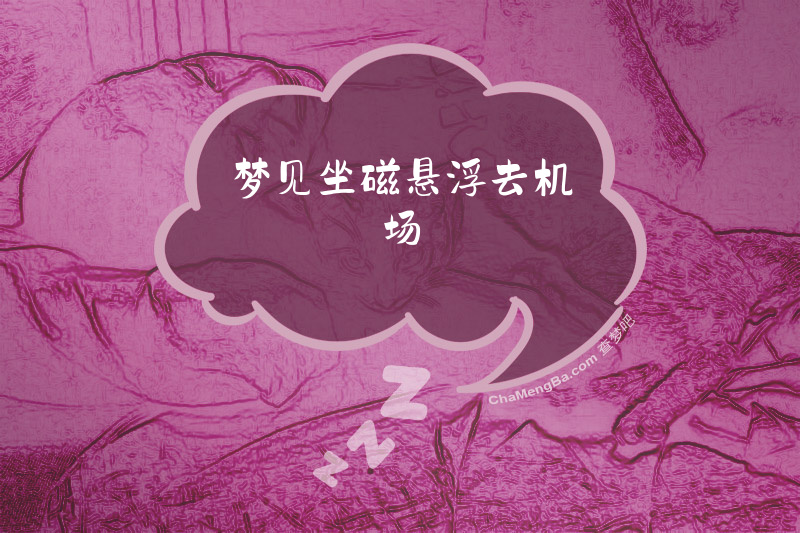 梦见坐磁悬浮去机场